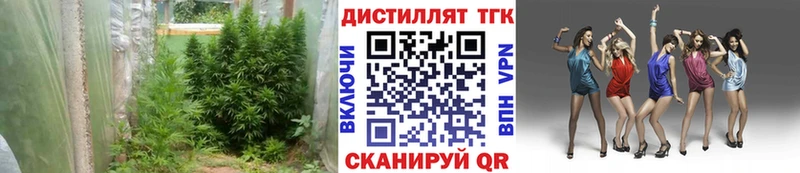 где продают наркотики  Ессентукская  ТГК концентрат 
