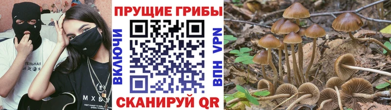Галлюциногенные грибы мухоморы  Ессентукская 